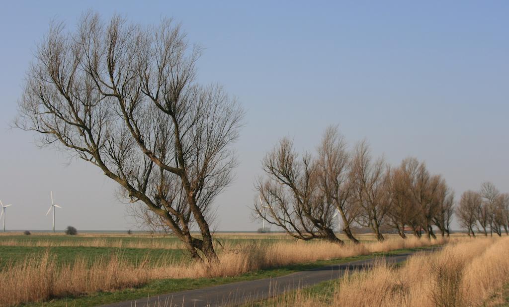 Landhaus Krabbe Von Greetsiel Eksteriør bilde