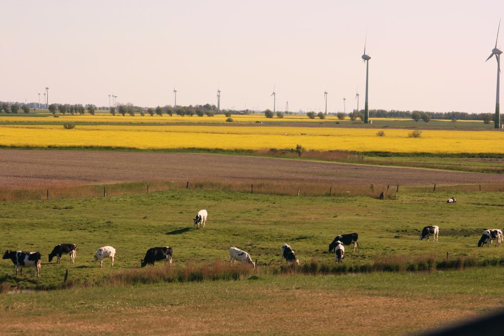 Landhaus Krabbe Von Greetsiel Eksteriør bilde